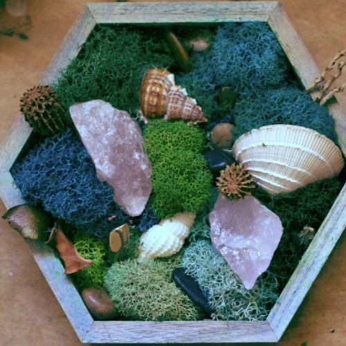 A hexagonal weathered wood frame filled with green moss, rose quartz, seashells, and dried seed pods.